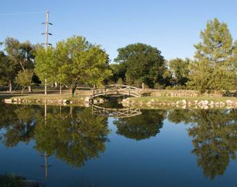 Photos by Scott Allen